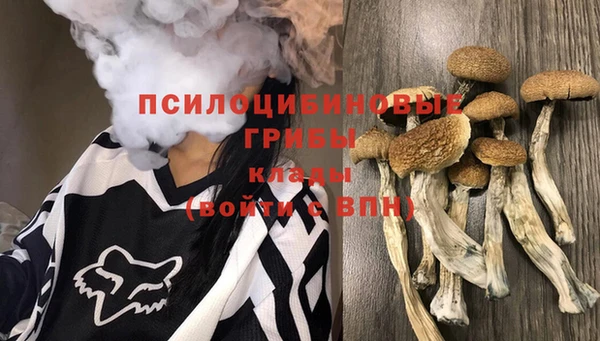 ешки Верея