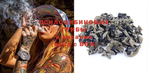ешки Верея
