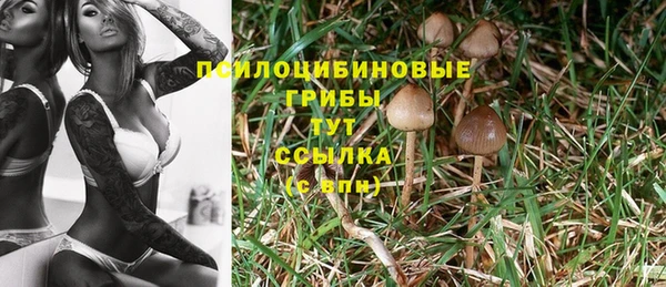стафф Верхнеуральск
